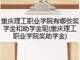 重庆理工职业学院有哪些奖学金和助学金呢(重庆理工职业学院奖助学金)