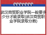 武汉商贸职业学院一般要多少分才能录取(武汉商贸职业学院录取分数)