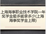 上海海事职业技术学院一年奖学金最多能拿多少(上海海事奖学金上限)