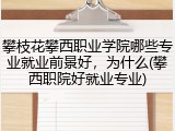 攀枝花攀西职业学院哪些专业就业前景好，为什么(攀西职院好就业专业)