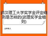武汉理工大学奖学金评定细则是怎样的(武理奖学金细则)
