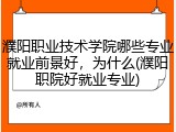 濮阳职业技术学院哪些专业就业前景好，为什么(濮阳职院好就业专业)
