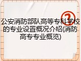 公安消防部队高等专科学校的专业设置概况介绍(消防高专专业概览)
