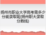 扬州市职业大学高考需多少分能录取呢(扬州职大录取分数线)