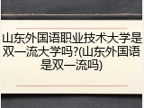 山东外国语职业技术大学是双一流大学吗?(山东外国语是双一流吗)