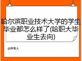 哈尔滨职业技术大学的学生毕业都怎么样了(哈职大毕业生去向)