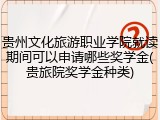 贵州文化旅游职业学院就读期间可以申请哪些奖学金(贵旅院奖学金种类)