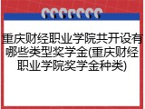 重庆财经职业学院共开设有哪些类型奖学金(重庆财经职业学院奖学金种类)