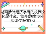 湖南涉外经济学院的校园文化是什么，简介(湖南涉外经济学院文化)