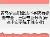 青岛求实职业技术学院有哪些专业，王牌专业分析(青岛求实学院王牌专业)