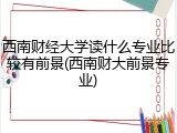 西南财经大学读什么专业比较有前景(西南财大前景专业)