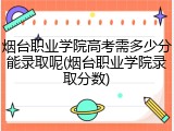 烟台职业学院高考需多少分能录取呢(烟台职业学院录取分数)