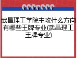 武昌理工学院主攻什么方向有哪些王牌专业(武昌理工王牌专业)