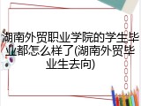 湖南外贸职业学院的学生毕业都怎么样了(湖南外贸毕业生去向)