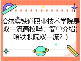 哈尔滨铁道职业技术学院是双一流高校吗，简单介绍(哈铁职院双一流？)