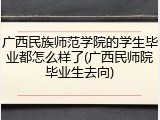 广西民族师范学院的学生毕业都怎么样了(广西民师院毕业生去向)