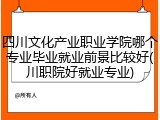四川文化产业职业学院哪个专业毕业就业前景比较好(川职院好就业专业)