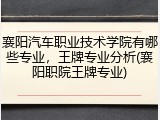 襄阳汽车职业技术学院有哪些专业，王牌专业分析(襄阳职院王牌专业)