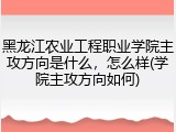 黑龙江农业工程职业学院主攻方向是什么，怎么样(学院主攻方向如何)