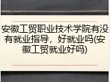 安徽工贸职业技术学院有没有就业指导，好就业吗(安徽工贸就业好吗)