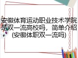 安徽体育运动职业技术学院是双一流高校吗，简单介绍(安徽体职双一流吗)