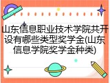 山东信息职业技术学院共开设有哪些类型奖学金(山东信息学院奖学金种类)