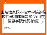 山东信息职业技术学院的院校代码和邮编是多少(山东信息学院代码邮编)