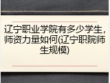辽宁职业学院有多少学生，师资力量如何(辽宁职院师生规模)