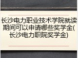 长沙电力职业技术学院就读期间可以申请哪些奖学金(长沙电力职院奖学金)