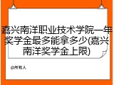嘉兴南洋职业技术学院一年奖学金最多能拿多少(嘉兴南洋奖学金上限)