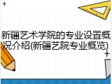 新疆艺术学院的专业设置概况介绍(新疆艺院专业概览)