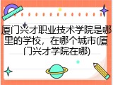 厦门兴才职业技术学院是哪里的学校，在哪个城市(厦门兴才学院在哪)