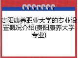 贵阳康养职业大学的专业设置概况介绍(贵阳康养大学专业)