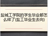 盐城工学院的学生毕业都怎么样了(盐工毕业生去向)
