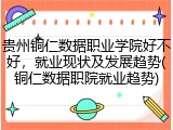 贵州铜仁数据职业学院好不好，就业现状及发展趋势(铜仁数据职院就业趋势)