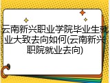 云南新兴职业学院毕业生就业大致去向如何(云南新兴职院就业去向)