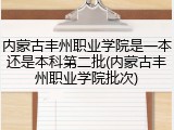 内蒙古丰州职业学院是一本还是本科第二批(内蒙古丰州职业学院批次)