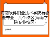 海南软件职业技术学院有哪些专业，几个校区(海南学院专业校区)