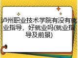 泸州职业技术学院有没有就业指导，好就业吗(就业指导及前景)