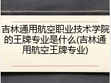 吉林通用航空职业技术学院的王牌专业是什么(吉林通用航空王牌专业)