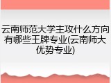 云南师范大学主攻什么方向有哪些王牌专业(云南师大优势专业)