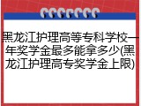 黑龙江护理高等专科学校一年奖学金最多能拿多少(黑龙江护理高专奖学金上限)
