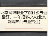 北京网络职业学院什么专业最好，一年招多少人(北京网院热门专业招生)
