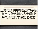 上海电子信息职业技术学院有出过什么知名人士吗(上海电子信息学院知名校友)