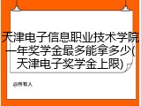 天津电子信息职业技术学院一年奖学金最多能拿多少(天津电子奖学金上限)