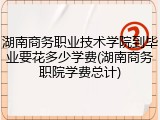 湖南商务职业技术学院到毕业要花多少学费(湖南商务职院学费总计)