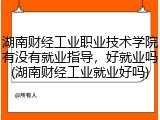 湖南财经工业职业技术学院有没有就业指导，好就业吗(湖南财经工业就业好吗)