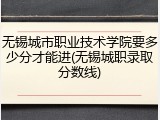 无锡城市职业技术学院要多少分才能进(无锡城职录取分数线)