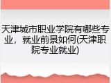 天津城市职业学院有哪些专业，就业前景如何(天津职院专业就业)