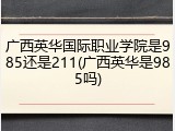 广西英华国际职业学院是985还是211(广西英华是985吗)